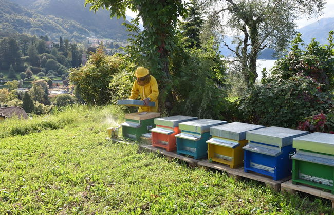 Agriturismo Il Colle - Foto 68
