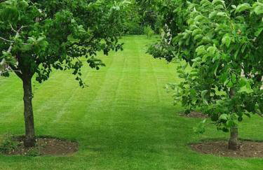 Belle Vue Cottage - Foto 14