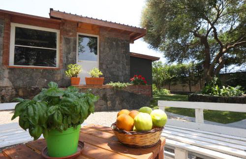 Casa delle foglie - Foto 15