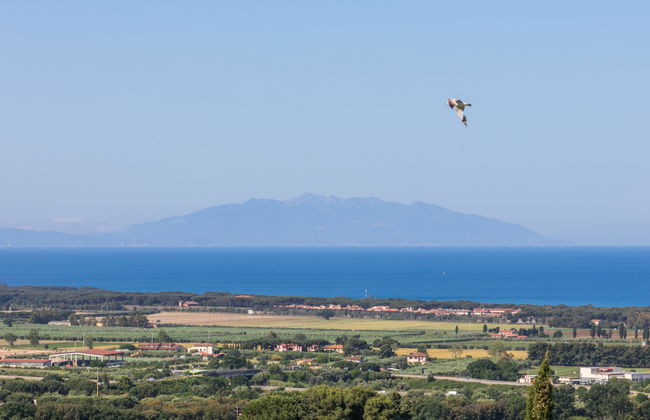 Il Corbezzolo - Foto 2