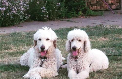 The Nook located in a beautiful garden setting with parking - Foto 25