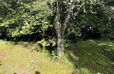 Belle 2 bedroom log cabin with hot tub, forest and loch - Foto 26