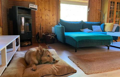 Ferienhaus Waldeule - Foto 17