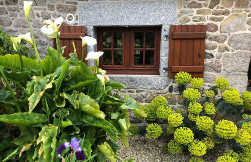 Petit cocoon au calme proche de la mer - Foto 1