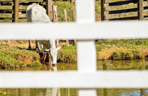 Pousada Sonho Meu - Foto 35