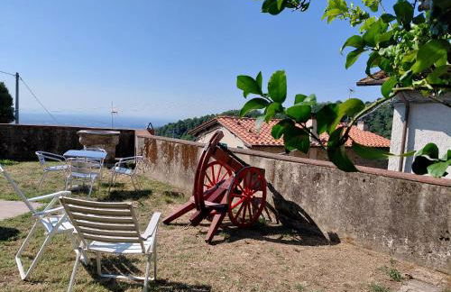 VILLA Castel del Monte PINOCCHIO story by COLLODI - Foto 14