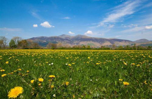Grisedale Cottage - Foto 24