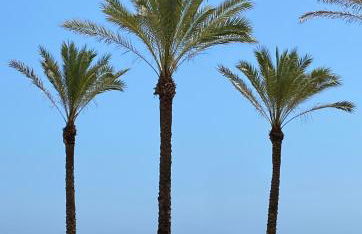 NEW STYLISH BEACH FRONT APARTMENT - Foto 22