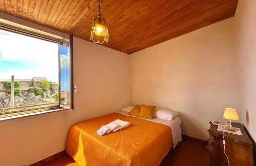 Il castagno - Foto 1