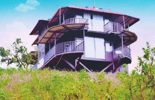 Coorg Tree House - Foto 20