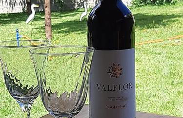 Villa Flor e Cor - Foto 30