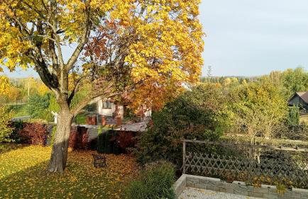 Pokoje gościnne Słoneczny Klon Dąbrówno - Foto 24