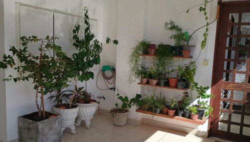 Cantinho Aconchegante 305 Praia Tambaú - Foto 3, Garden