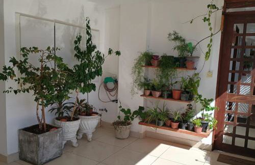 Cantinho Aconchegante 305 Praia Tambaú - Foto 3