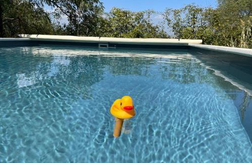 Le Mas de L'Arceau - Mas avec piscine en Sud Ardèche - Photo 15
