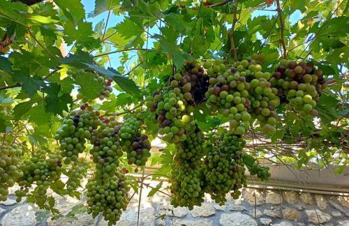 Traditional Creta stone house in serenity village - Foto 69