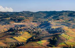 A 4 chilometri dal belvedere più bello delle Langhe - Photo 13