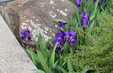 Mountain View Suite - Foto 27