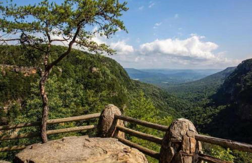 2 Homes Mentone Getaway - Riverfront & Near Parks - Foto 45