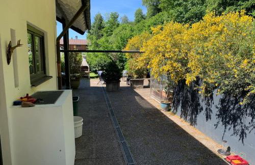 Bezauberndes Gästehaus im Grünen mit Terrasse - Foto 10