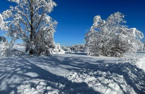 Loft mit Seeblick und Innenpool - Photo 32