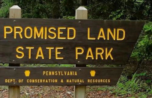 Peaceful Seasonal Wooded Cottage close to everything - Foto 51