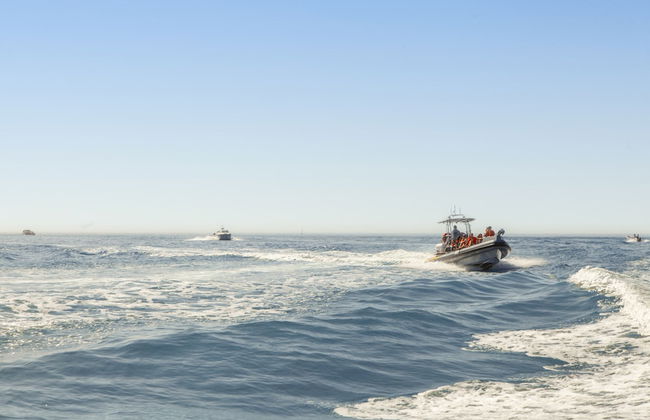 Villa AlGharif - Photo 60