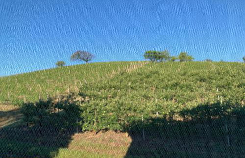 Casa villetta "La Colomba" Nizza Monferrato - Foto 49