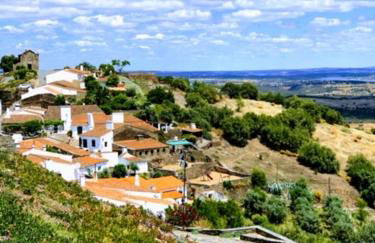 Painel de Monsaraz - Foto 11