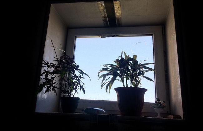 1st Man In Space Apartments - Foto 72