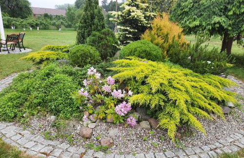 Dom wakacyjny-Czereśniowy Sad - Foto 23