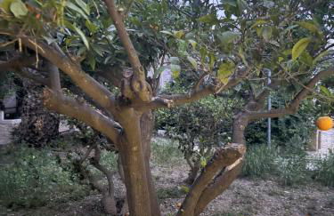 Filippos Agean Nest - Foto 4