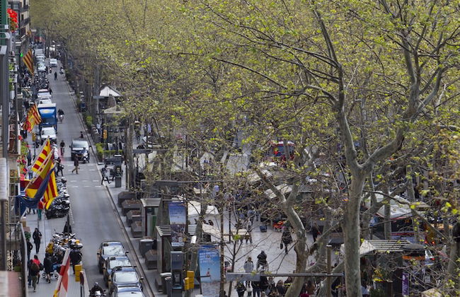 Apartments Rambla 102 - Foto 49