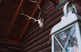 B&B Le Corone - Chalet nel Bosco - Photo 30