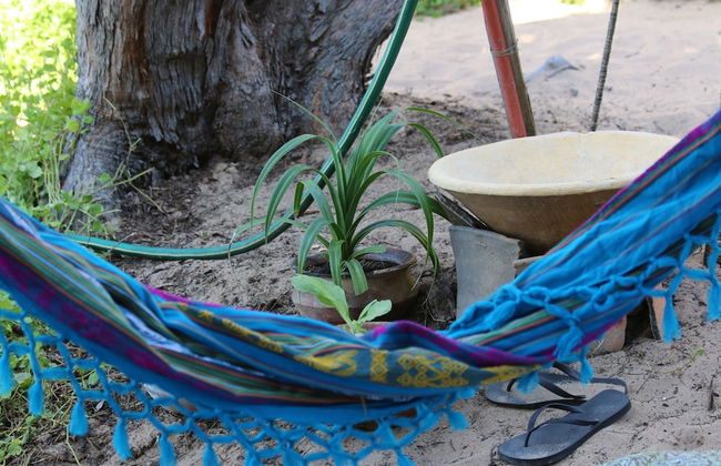 Casa Algodoal - Photo 39