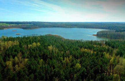 Mazury - Giżycko - Harsz - Domki - ApartMazury Osada - Foto 61