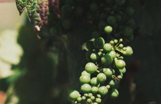 Masseria Stali, The Originals Relais - Foto 25