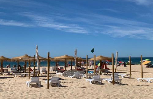 Altura Beach AL - Photo 25