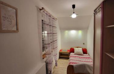 Dom przy szlaku GSB-Noclegi Na Przełęczy-Agroturystyka - Foto 8