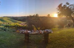 Podere Spedalone - Foto 26