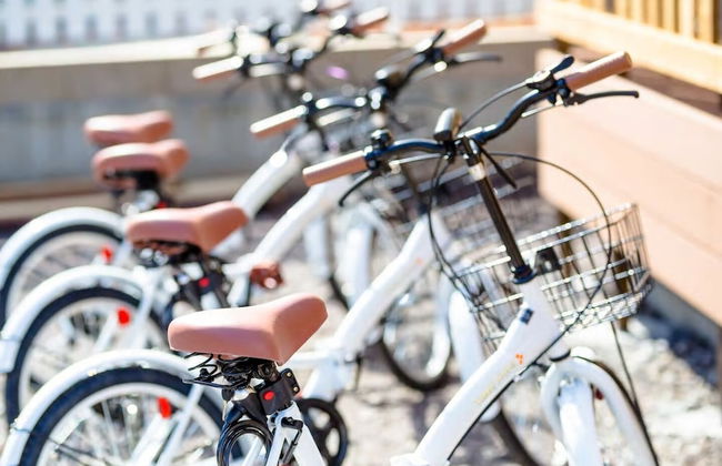 Villa Hanasaku Mt.Fuji Gotemba Outlet - Foto 9