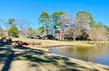 Resort Living near Lake Conroe - Photo 16