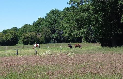 Ferienwohnung Hof Postel - Foto 36