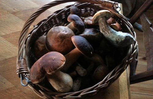 Natura Apartamenty - Foto 66