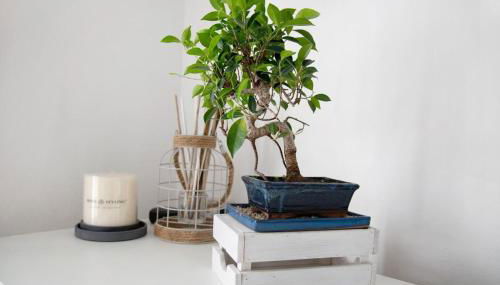 Appartamento Stefano - Photo 2