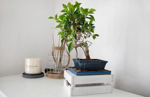 Appartamento Stefano - Photo 2