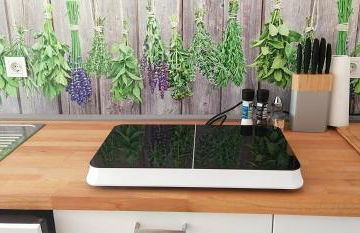 Ferienwohnung zur Kirschblüte - Foto 16