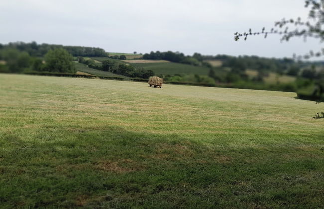 Little Greenwood Shepherd Hut - Sleeps 2 - Foto 11