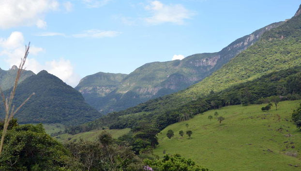 Spend a day kayaking along the Três Forquilhas River