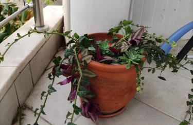 HOME SWEET HOME Διαμέρισμα 50τμ σε ήσυχη περιοχή - Foto 21